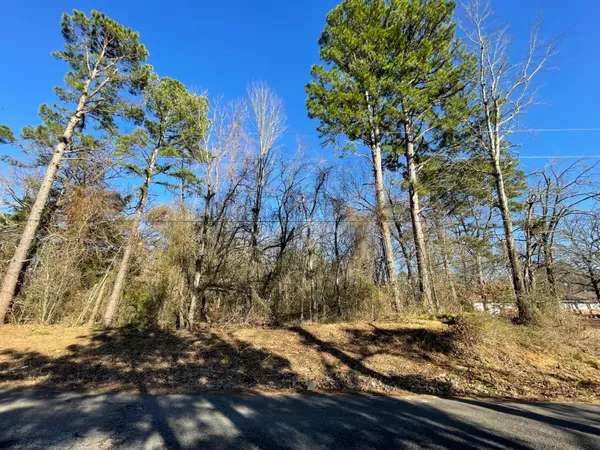 Antlers, OK 74523,0 Rambling Oaks Road 1