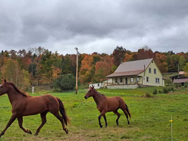 Bakers Mills, NY 12843,51 Barney Hill Road