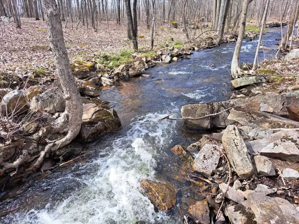 Ellenburg Depot, NY 12935,L 11.5 Military Turnpike