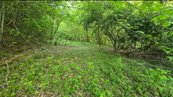 00 KY Rt 1750, East Point, KY 41216