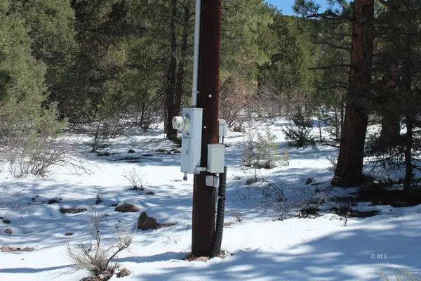 Westcliffe, CO 81252,481 Rosewood Rd #46