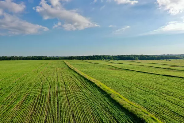 Allison, IA 50602,TBD Hwy 14