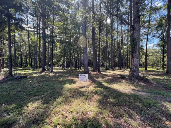 01 Chickamauga Drive and Ponderosa Lane #1, Zwolle, LA 71486