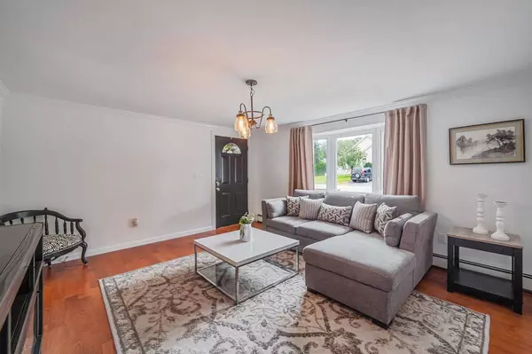 Patchogue, NY 11772,24 Hamilton Street