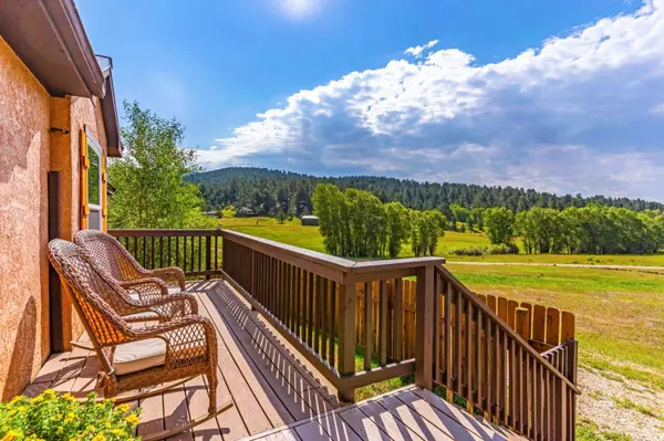 Westcliffe, CO 81252,105 Rufus Run