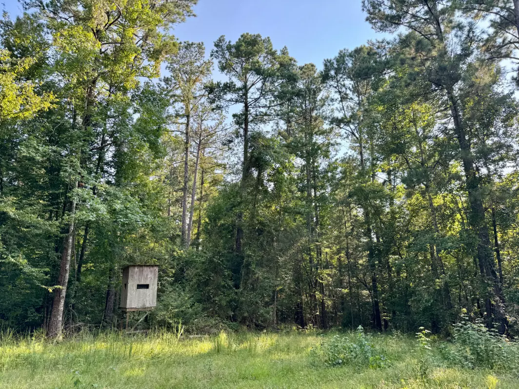 Jackson, AL 36545,0 Winn Rd