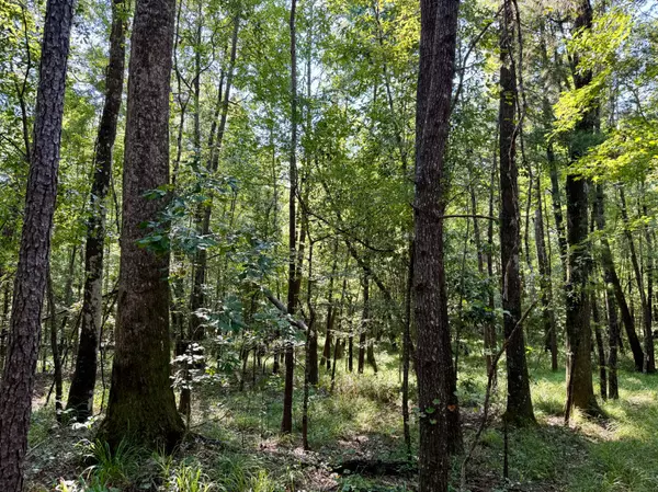 Jackson, AL 36545,0 Winn Rd