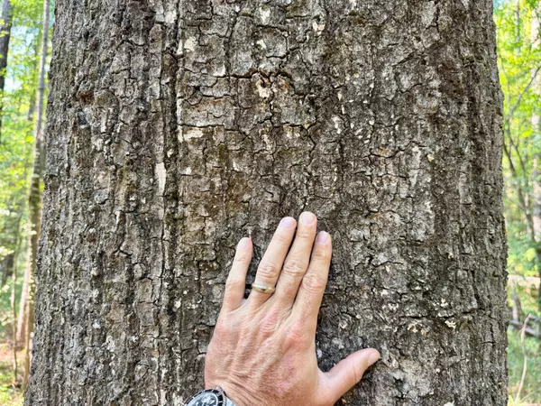 Jackson, AL 36545,0 Winn Rd