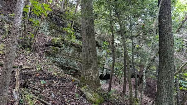 Jackson, OH 45640,0 Limerick Road