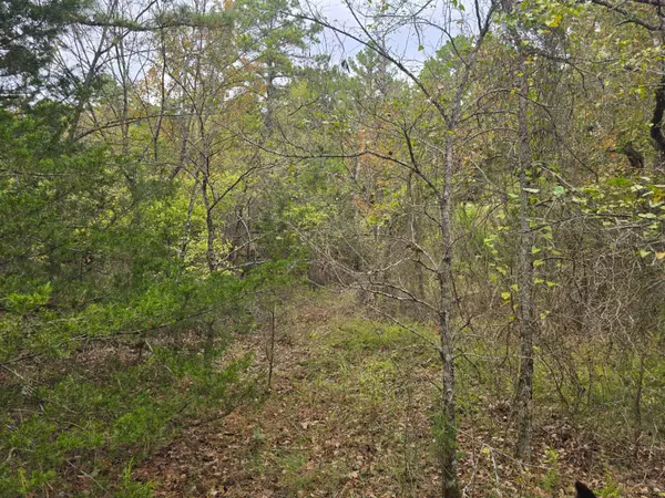 Talihina, OK 74571,000 Watertower Rd