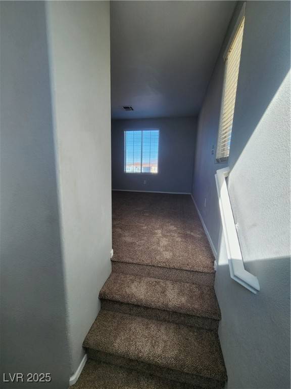 Las Vegas, NV 89156,7063 CANARY IVY WAY