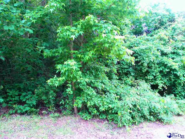 Timmonsville, SC 29161,Lot #4 Gee Valley Dr.