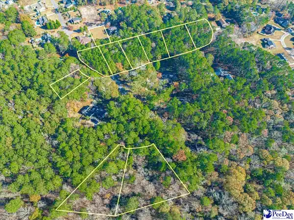 Darlington, SC 29532,Lot 54 Country Club Road