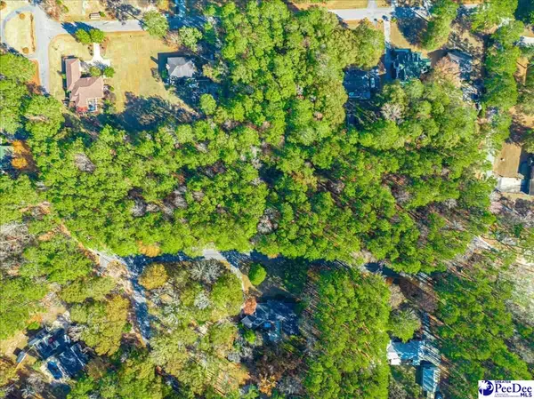 Darlington, SC 29532,Lot 54 Country Club Road