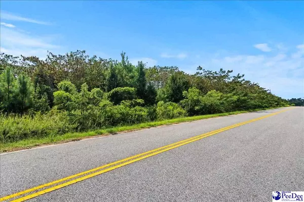 Bennettsville, SC 29512,TBD Bull dog Road
