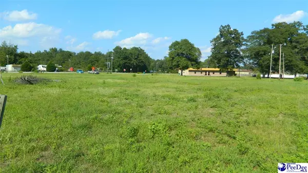 Marion, SC 29571,4603 W Highway 76