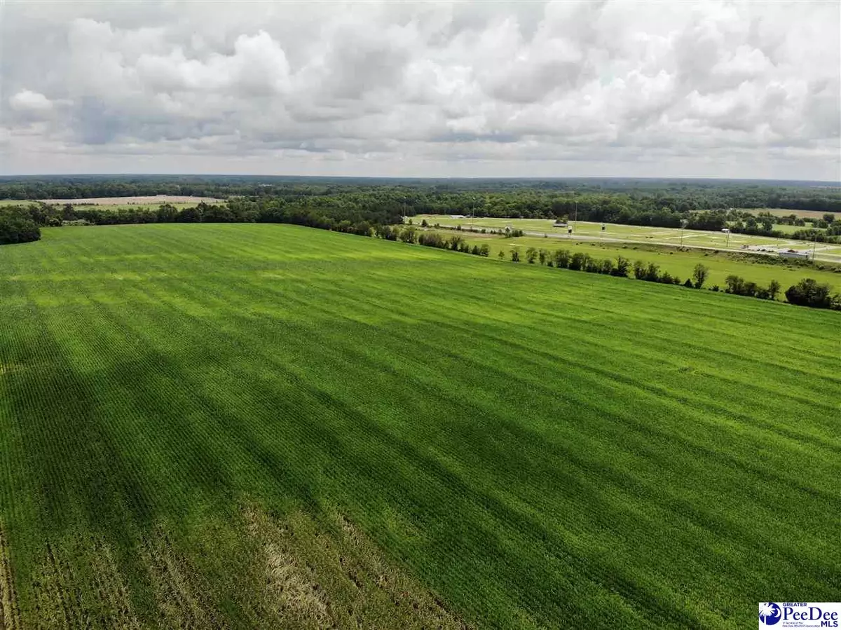 Hartsville, SC 29550,1212 E Bobo Newsom Highway