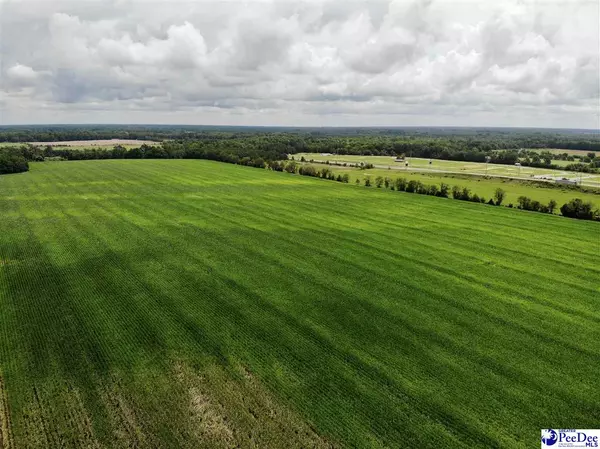 1212 E Bobo Newsom Highway, Hartsville, SC 29550