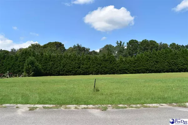 Florence, SC 29501,Lot 8 Rivergate Drive