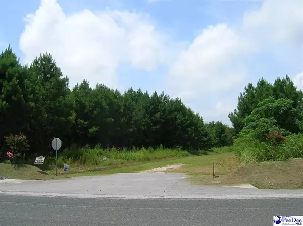 Lot 6 Drake's Nest Lane, Darlington, SC 29532