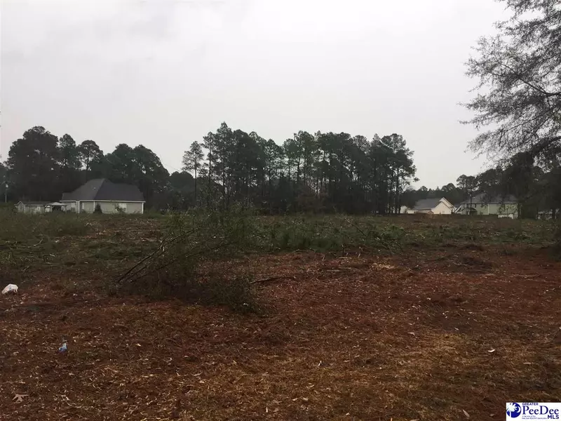 lot 4 forest dr, Hartsville, SC 29550-0000