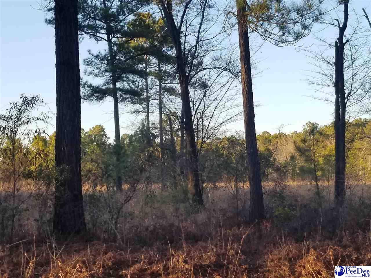 Van Dyke Road, Dillon, SC 29536