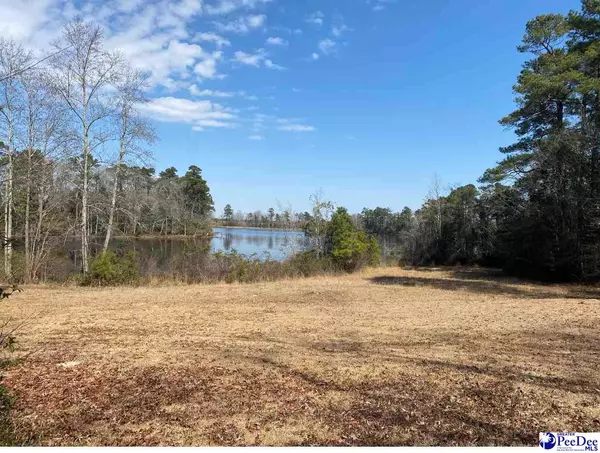 2829 Everlasting Branch Road, Darlington, SC 29540-8912