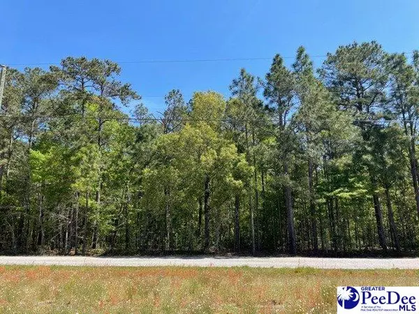TBD Swift Creek Rd, Hartsville, SC 29550