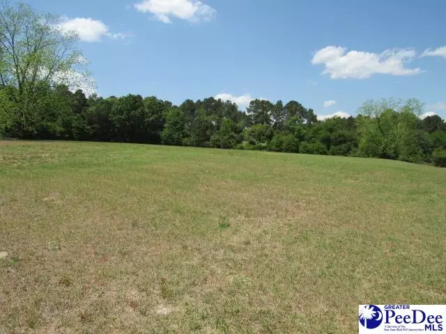 Hartsville, SC 29550,Tracts 1 & 2 W Society Avenue