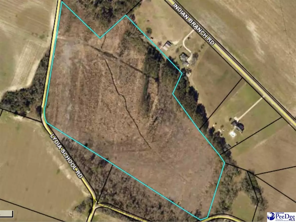 Lydia, SC 29079,TBD Lydia School Rd