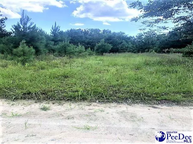 Mullins, SC 29574,TBD Maggie Loop