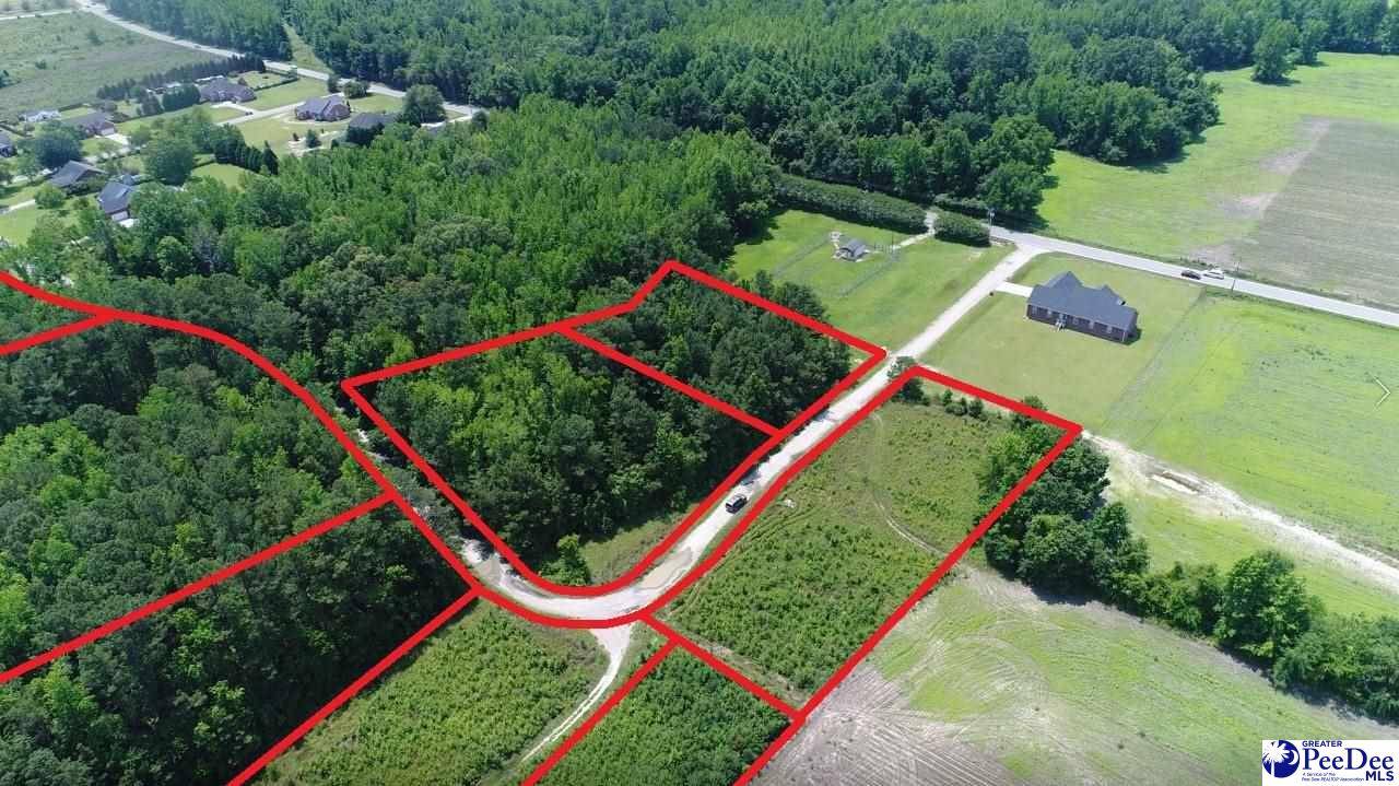 Marion, SC 29571,6 lots Plantation Dr