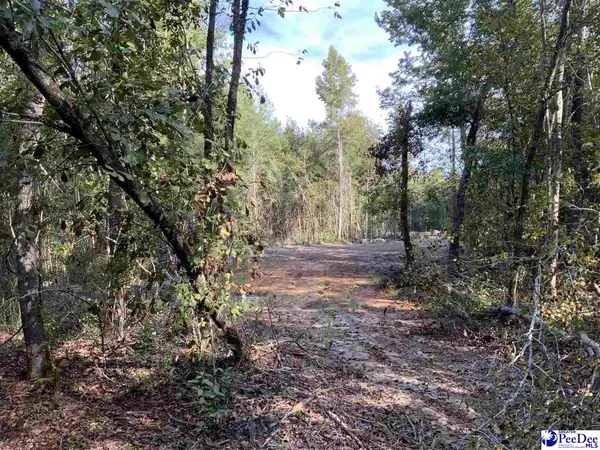 5318 Terry, Clio, SC 29525-1234