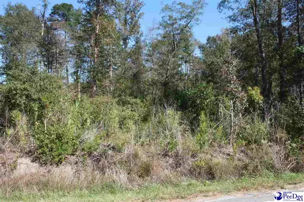 Pope Rd, Hemingway, SC 29554