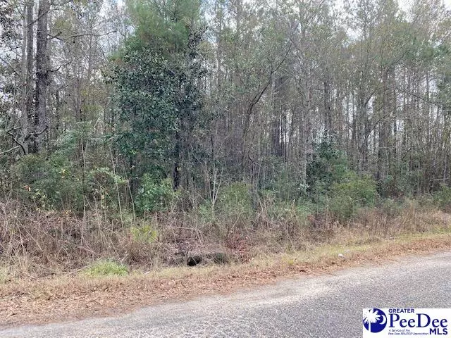 Hemingway, SC 29554,tbd Steve Carmichael Rd. 1.0 ac