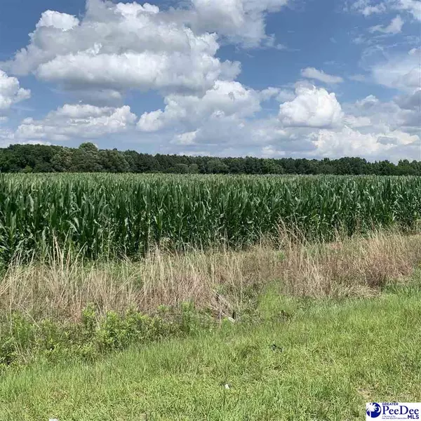 Springvale Road, Lot #9, Bishopville, SC 29010