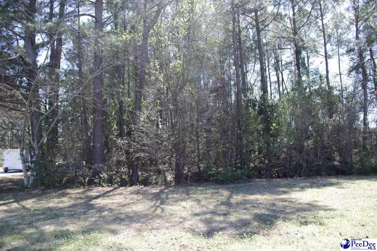 Lake City, SC 29560,TBD Dogwood Lane