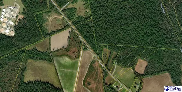 tbd Beulah Road, Lake City, SC 29560
