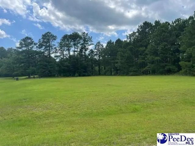 Lot 2 Governor's Run Dr., Lamar, SC 29069