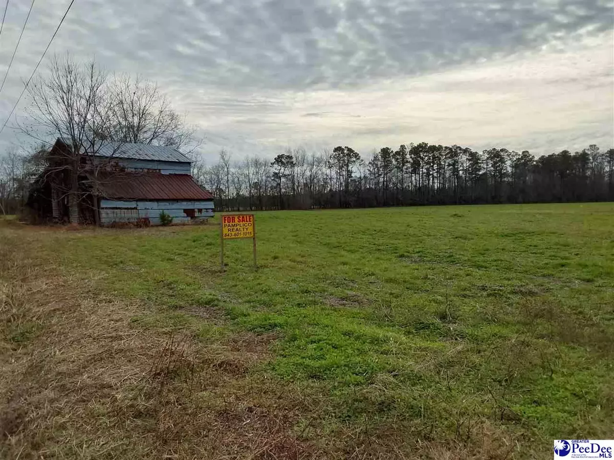 Pamplico, SC 29583,tbd Kennedy Haines