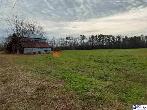 tbd Kennedy Haines, Pamplico, SC 29583