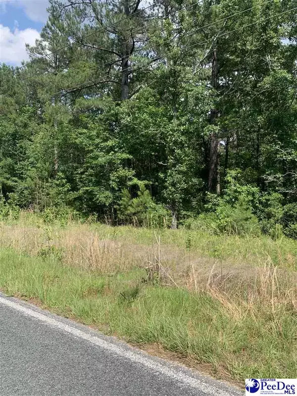 TBD Trinity Rd, Lynchburg, SC 29080