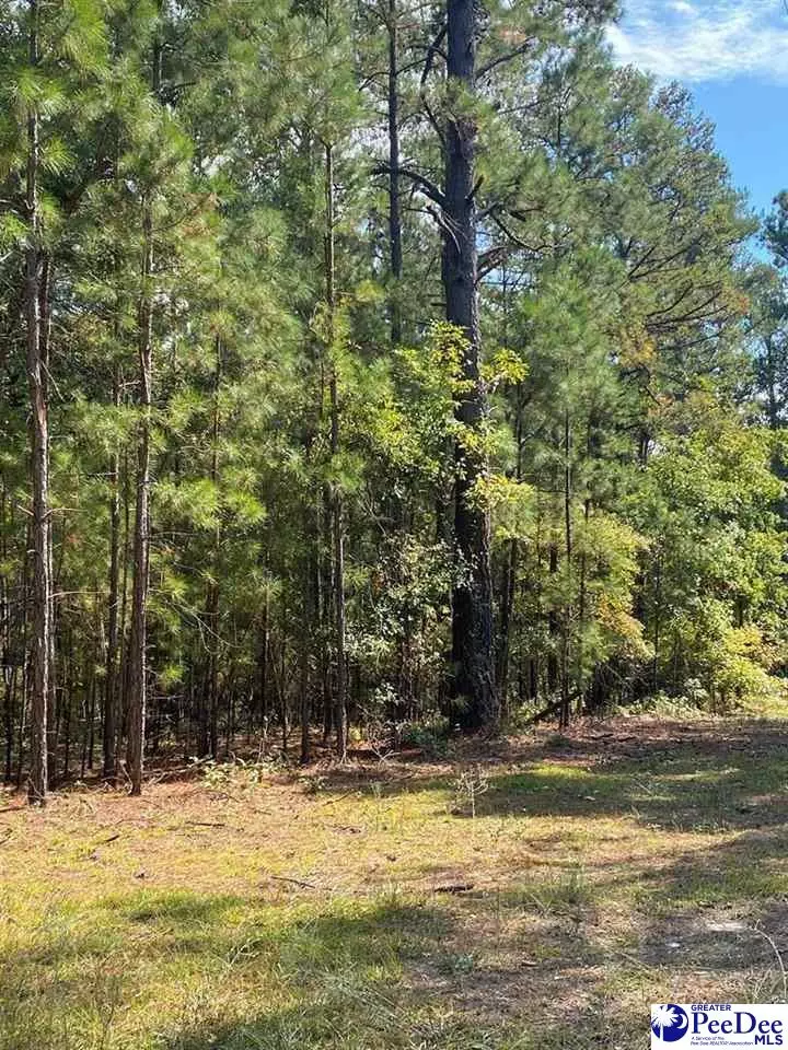 Dalzell, SC 29040,3155 Clarkson Road