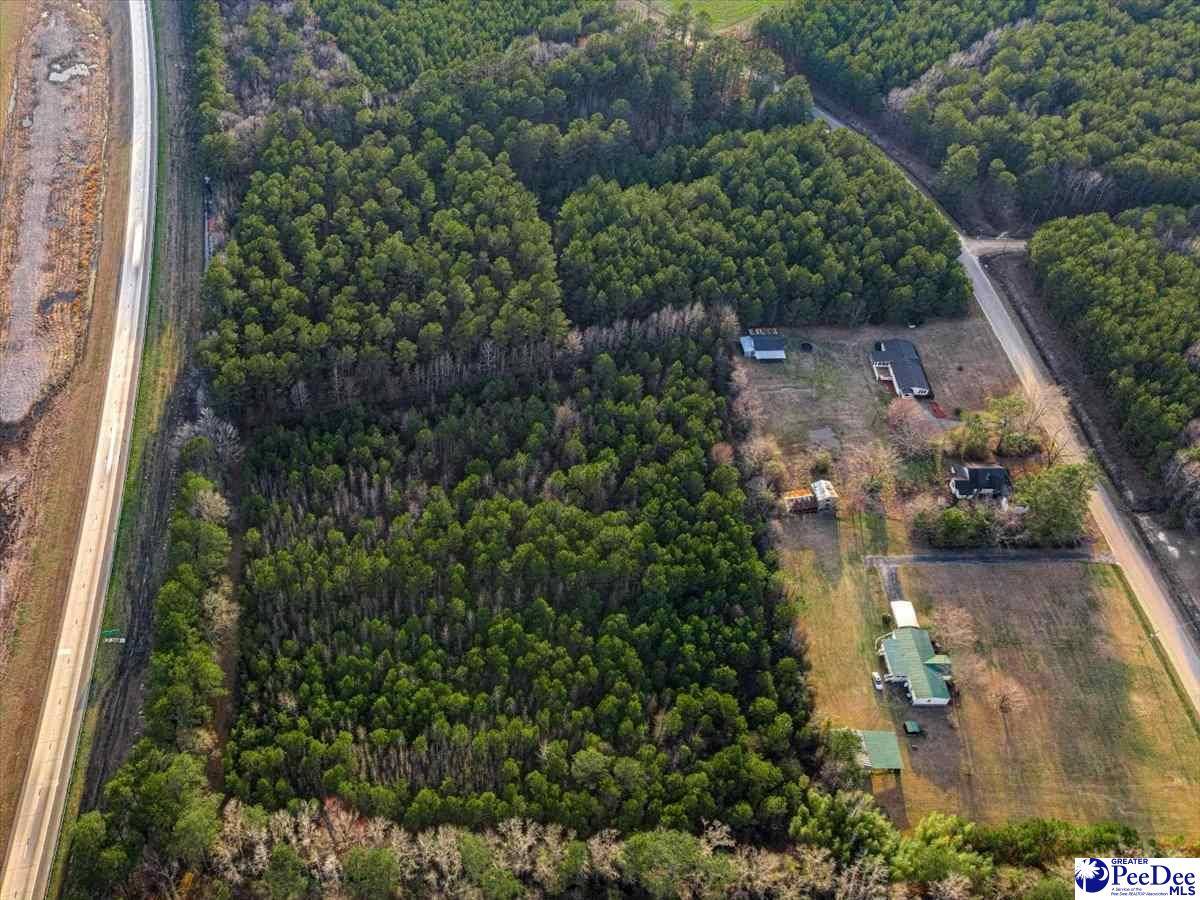 TBD Timmons Rd, Timmonsville, SC 29161