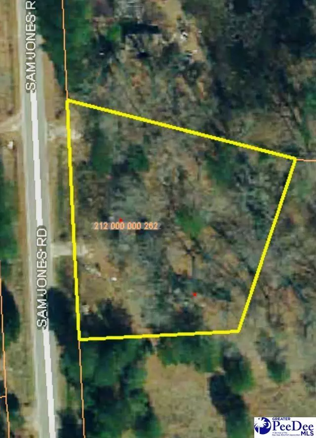 Patrick, SC 29584,3196 Sam Jones Rd