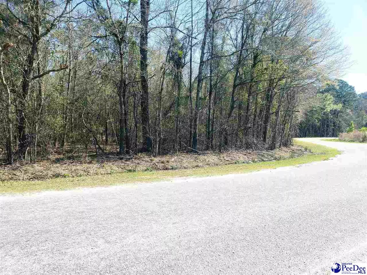 Lamar, SC 29069,TBD Club Drive