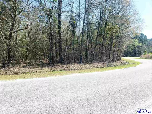 TBD Club Drive, Lamar, SC 29069