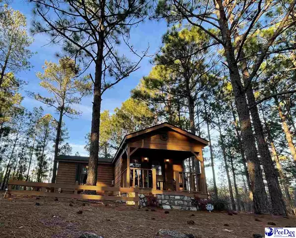 885 Mount Olivet Church Rd, Patrick, SC 29584