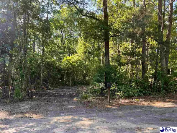 281 Pineneedle Circle, Johnsonville, SC 29555