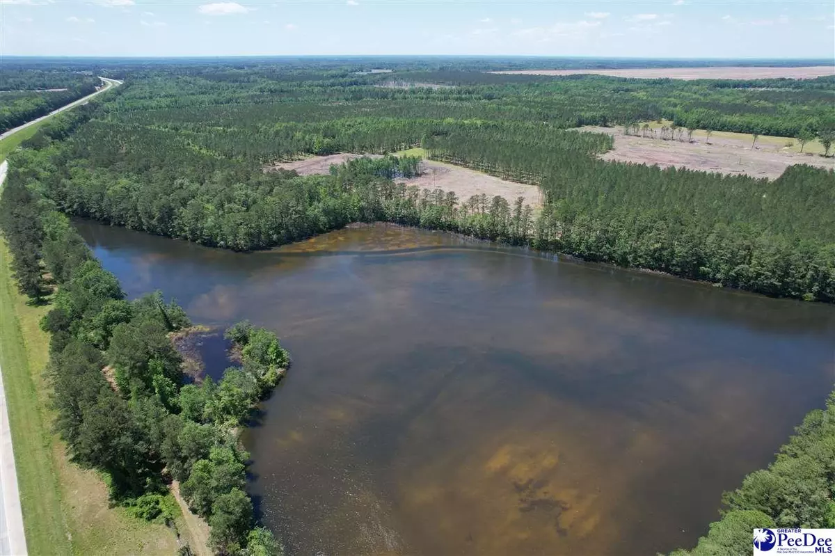 Latta, SC 29565,TBD N Side of I-95 & Mallory Beach Road